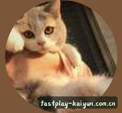 陈磊